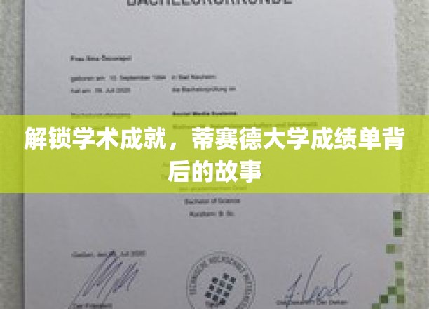 探索蒂赛德大学卓越成就的秘密，成绩单背后的非凡历程